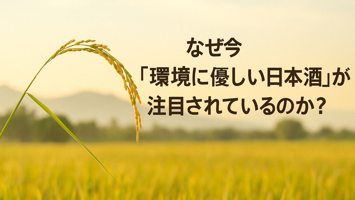 稲穂が風に揺れる田んぼの風景と「なぜ今『環境に優しい日本酒』が注目されているのか？」という日本語テキストを中央右寄せに配置した画像。ナチュラルな配色と優しい雰囲気。