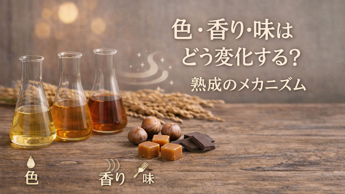 熟成年数で色が薄い黄金色から琥珀色へ変わる日本酒を3つのフラスコで並べ、稲穂やナッツ、カラメルを添え、「色・香り・味はどう変化する?熟成のメカニズム」と日本語テキストを右側に配置した、ナチュラルで優しい雰囲気の解説イメージ画像